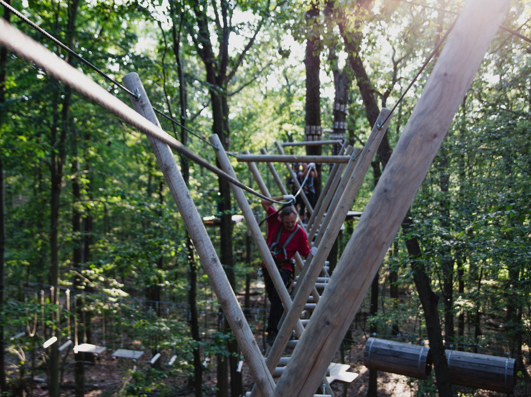 FLG X Adventure Course - New Jersey景点图片