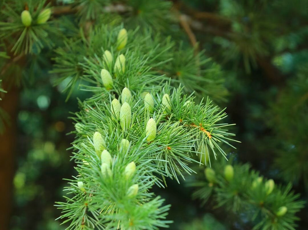 昆嵛山-烟台市必去景点