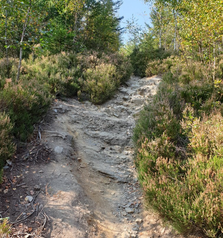 Cascade Du Bayehon景点图片