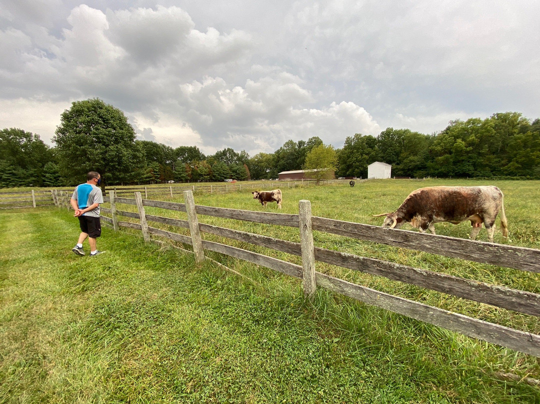 Conner Prairie-Fishers必去景点