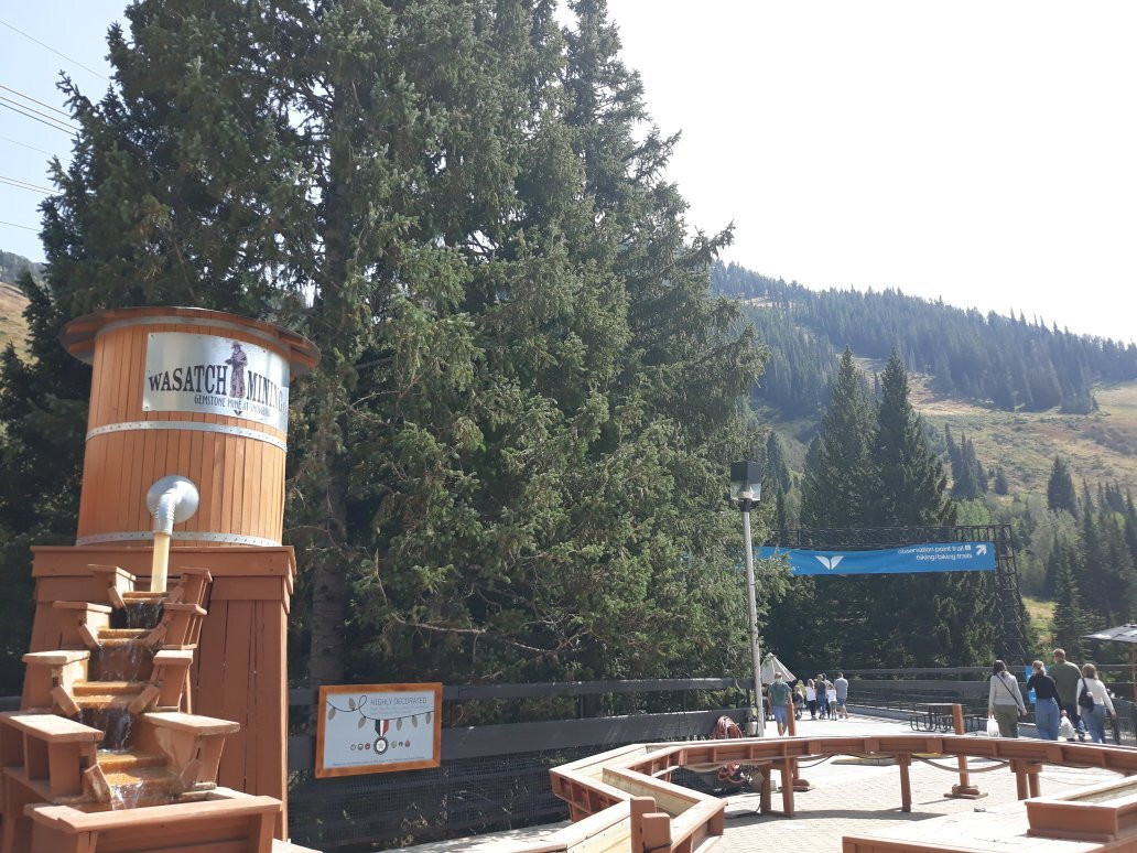 Snowbird-布莱敦必去景点