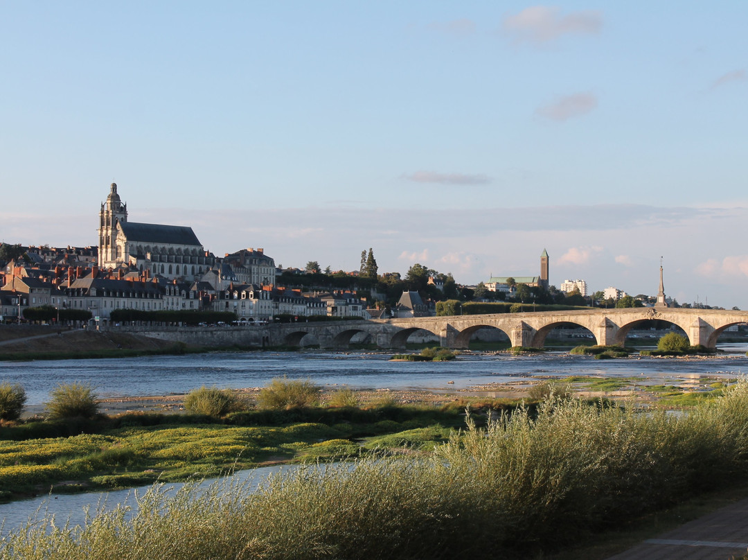 Pont Jacques-Gabriel景点图片