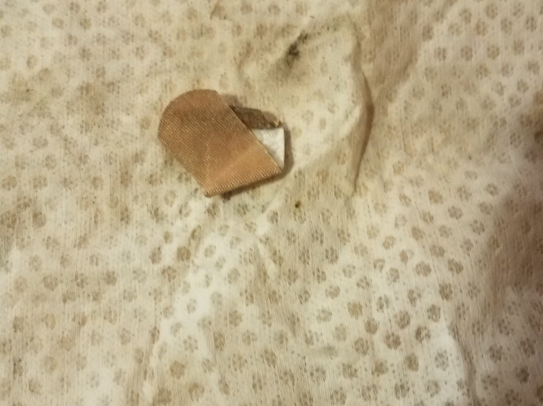 Park Motel and Cabins主图