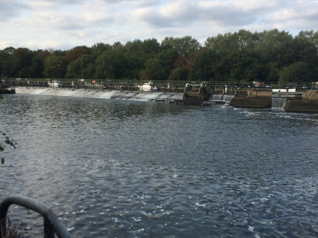 The Lensbury Resort主图