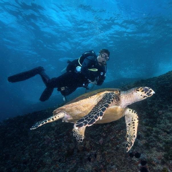 PL Divers-阿拉伊阿尔港必去景点