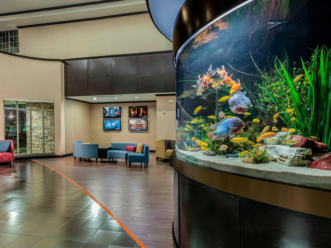 SpringHill Suites by Marriott Waco Woodway主图