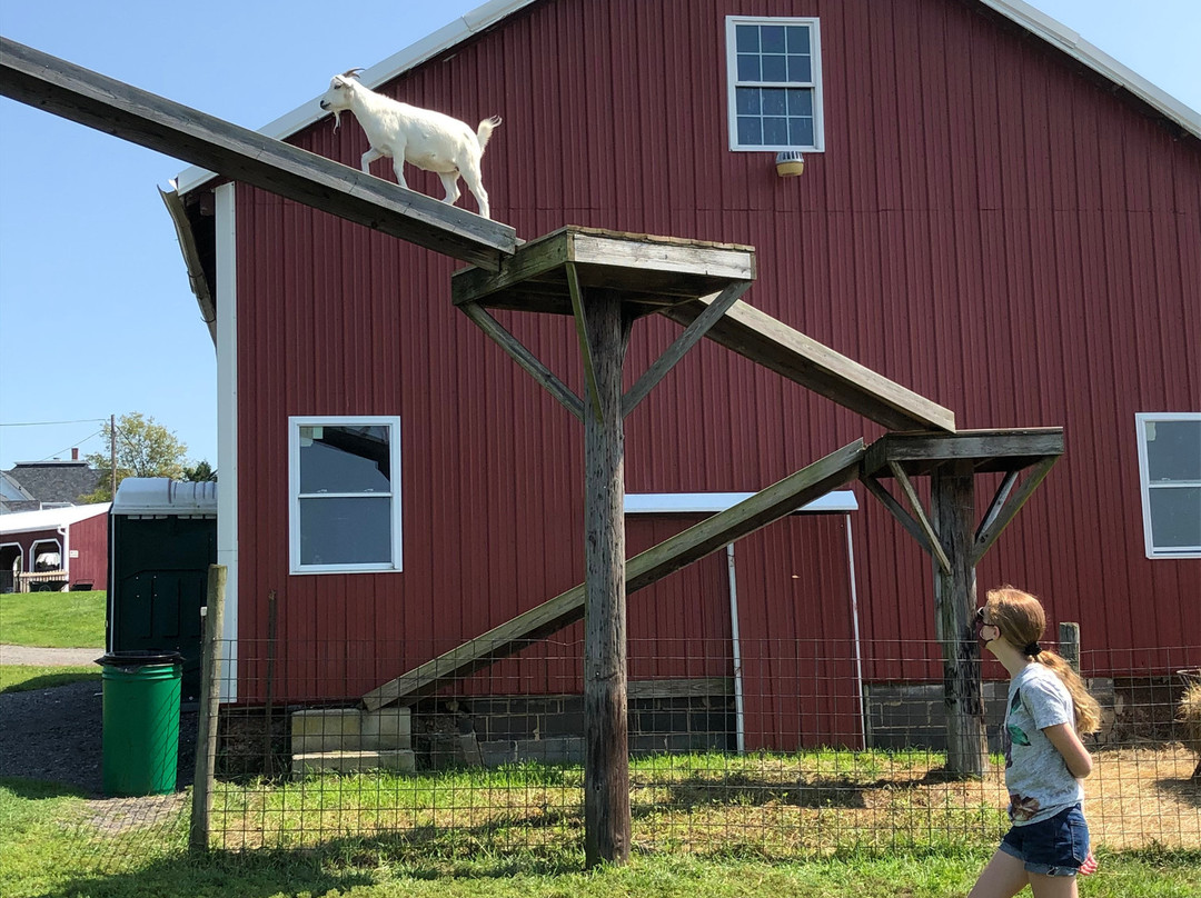 Homestead Farms-Poolesville必去景点