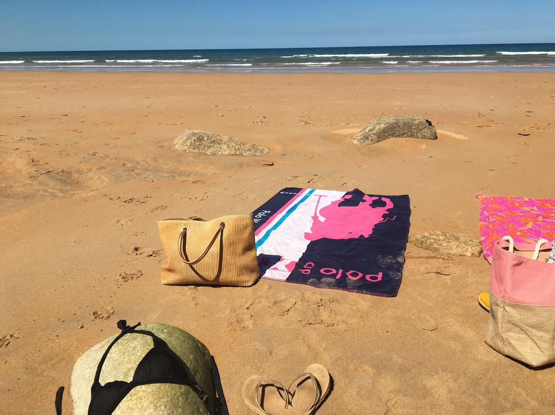 Playa De Valdearenas景点图片