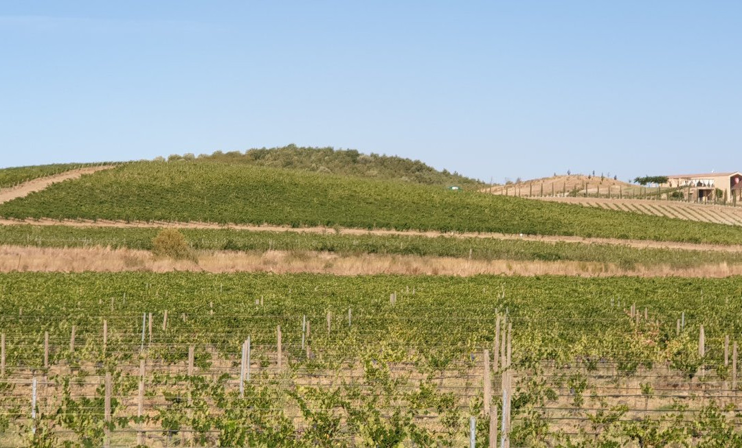 Tenuta Fertuna景点图片