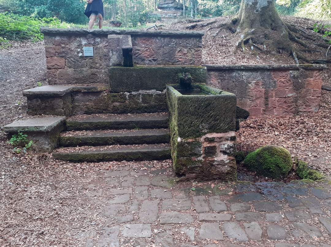 Naturbühne "am Falkenstein" Queidersbach-Queidersbach必去景点