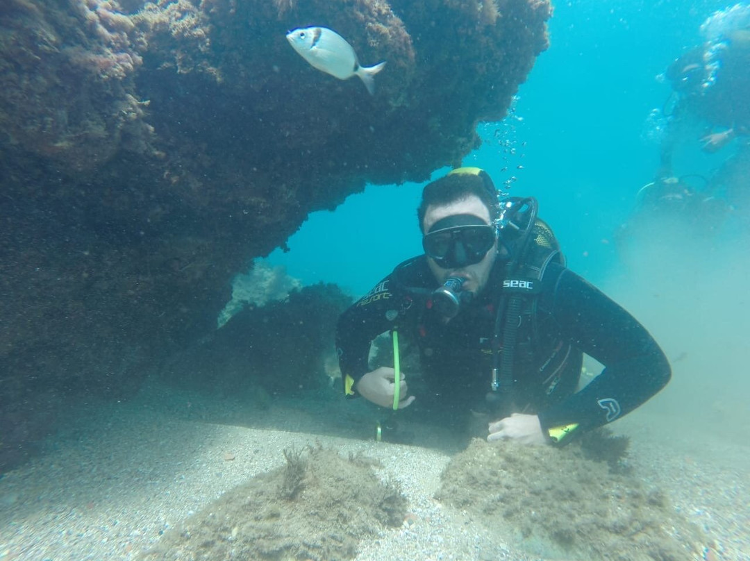 Moroccan Diving Center-Al Hoceima必去景点