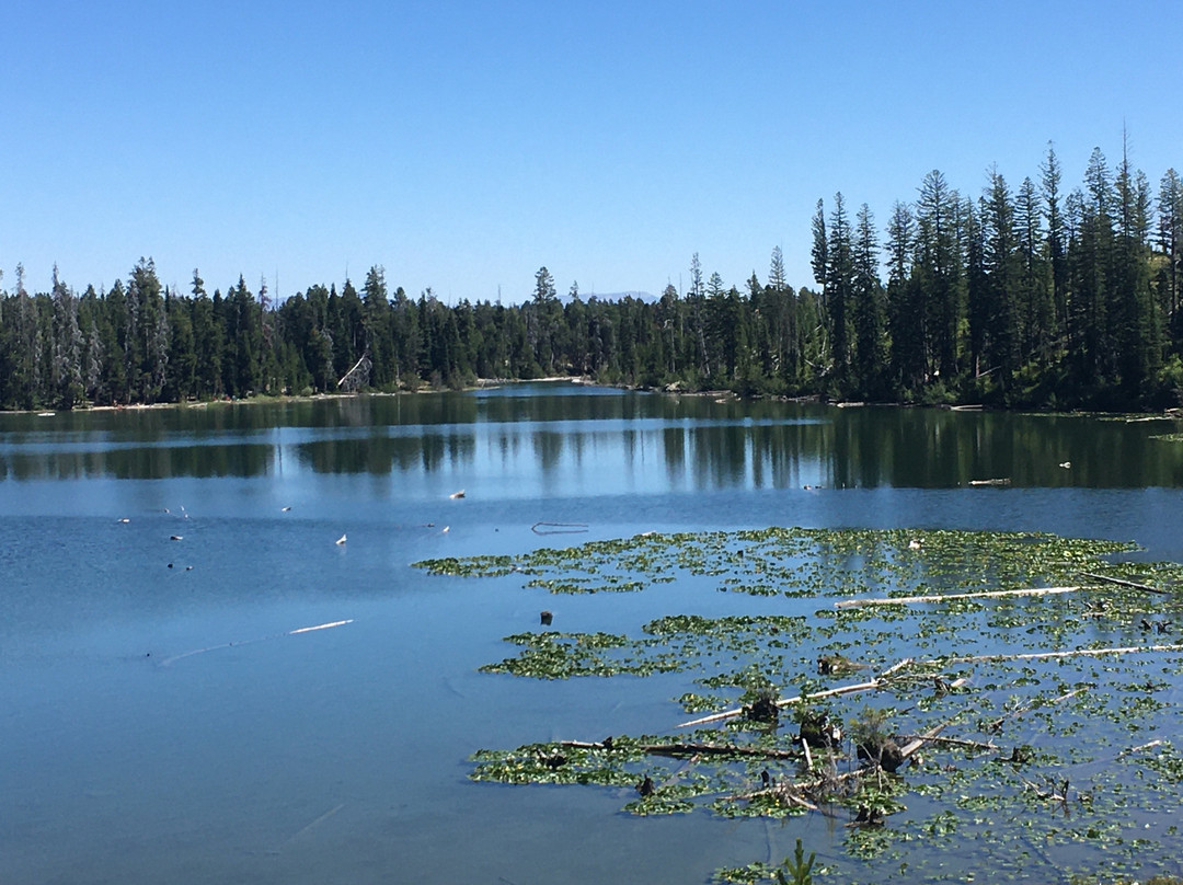 String Lake-大提顿国家公园必去景点
