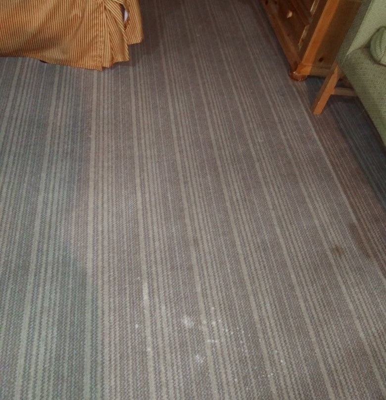 Travelodge by Wyndham Matteson主图