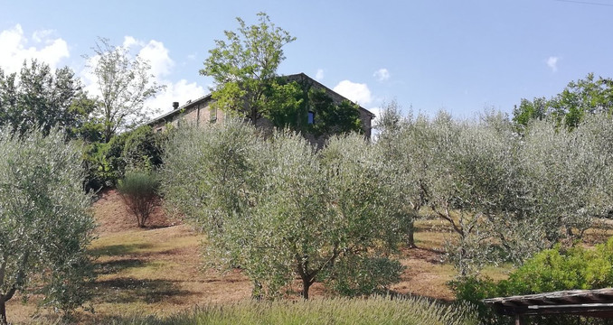 Agriturismo Erta主图