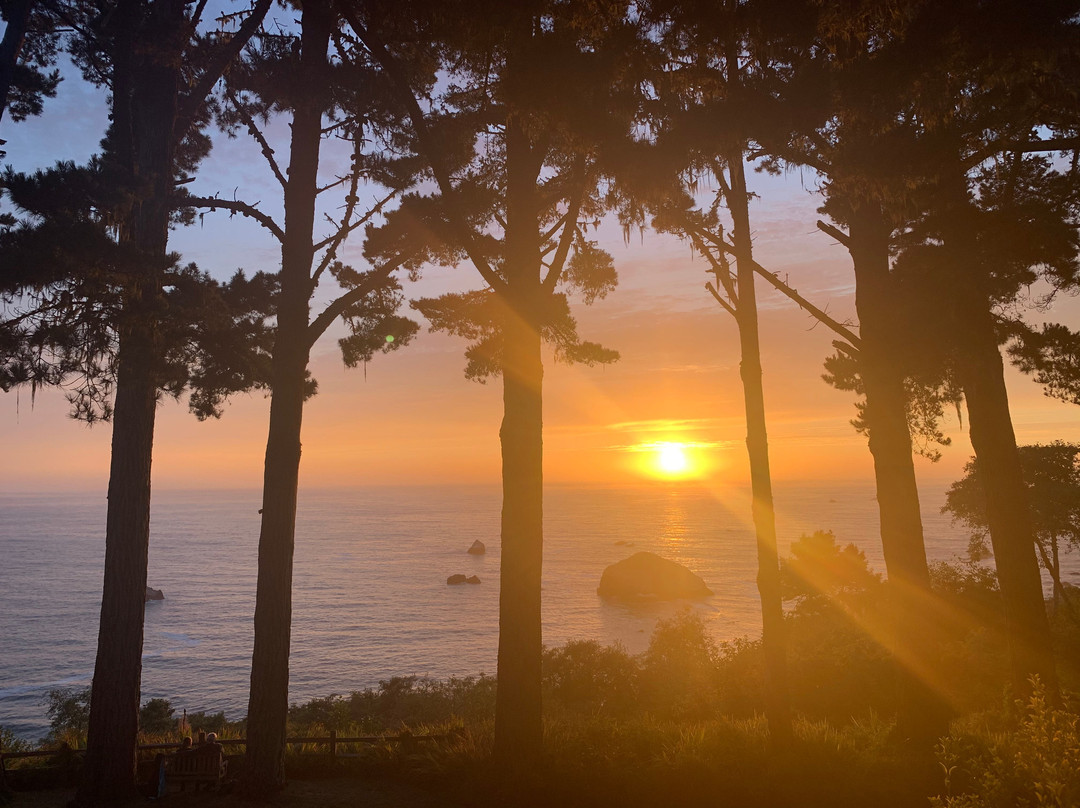 Lost Whale Inn主图