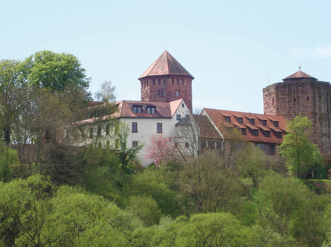 Bildungs- und Erholungswerk Burg Rieneck e. V.景点图片