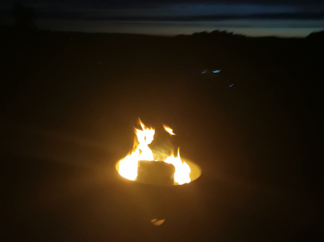 Manor Farm Campsite / B&B主图