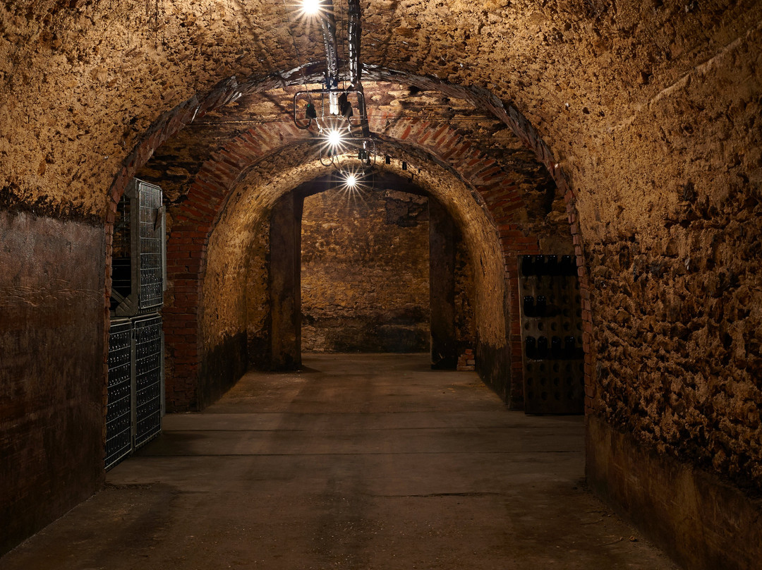 Les Champagnes du Château d'Avize-Avize必去景点