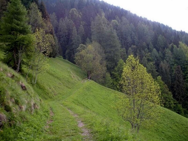 Col De Salera景点图片