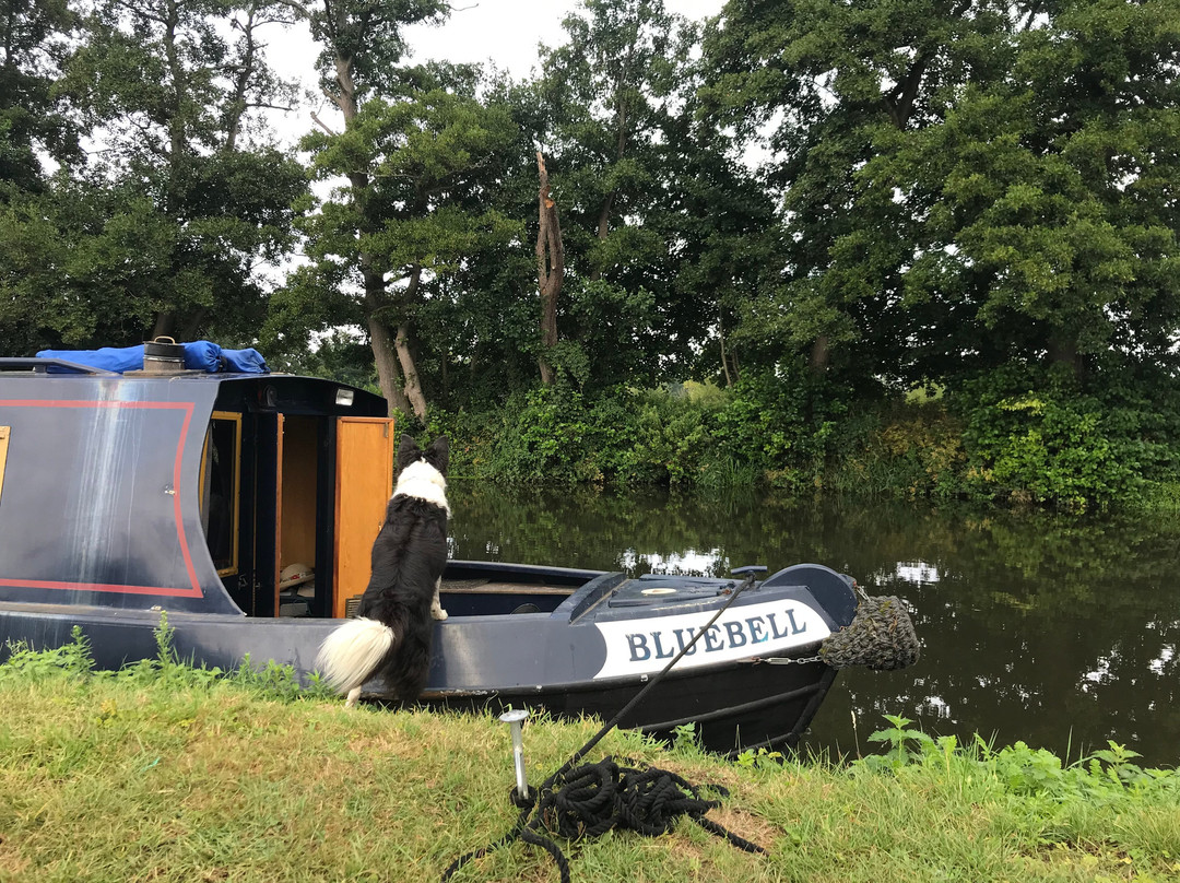 WeyDays Boat Hire景点图片