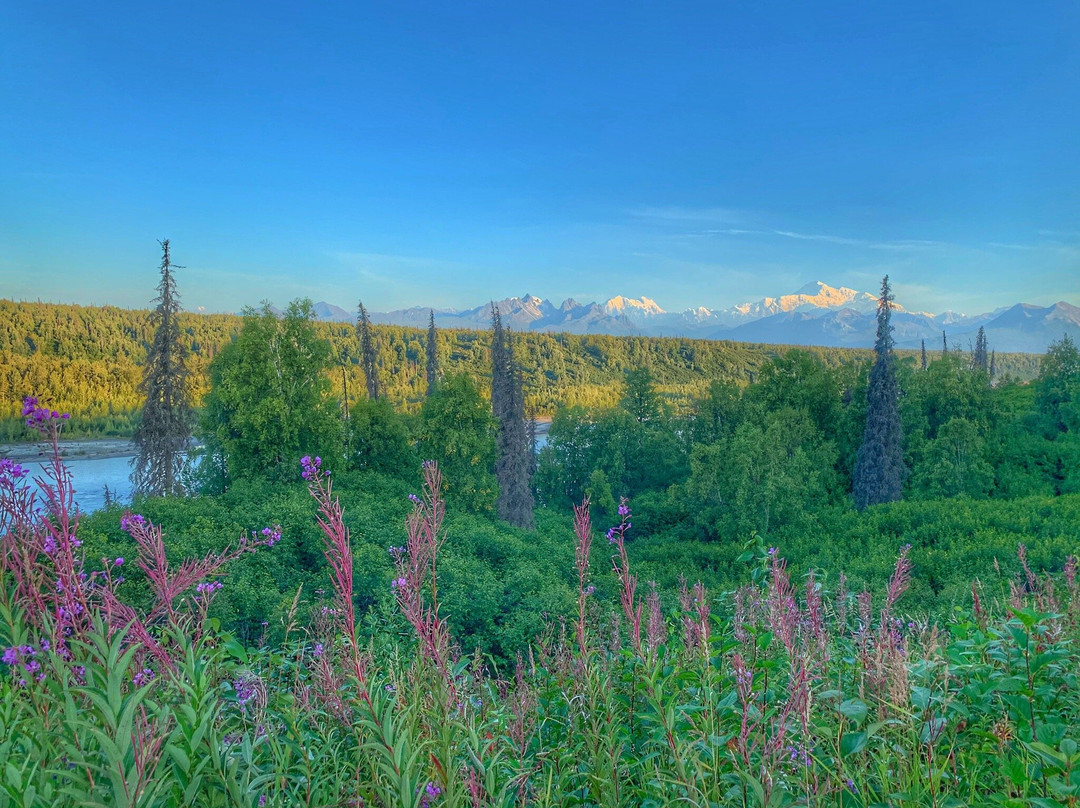 Denali View South-Trapper Creek必去景点