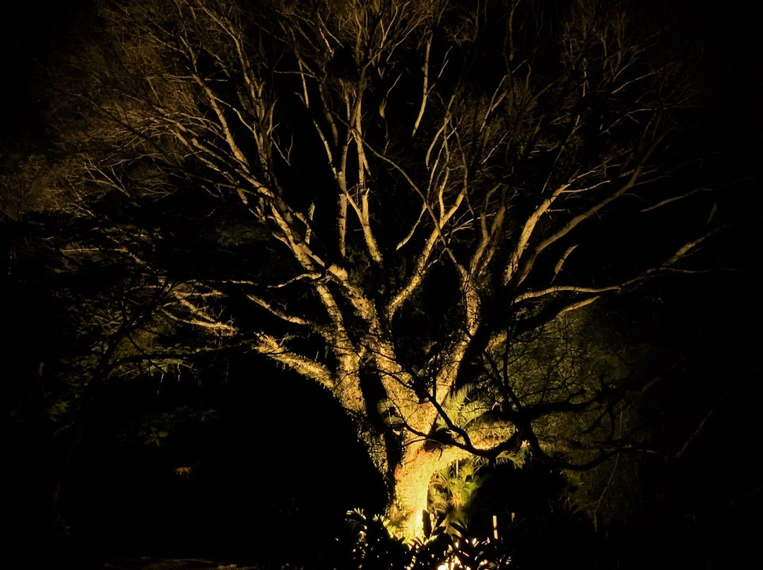 Pousada Rainha Da Mata主图