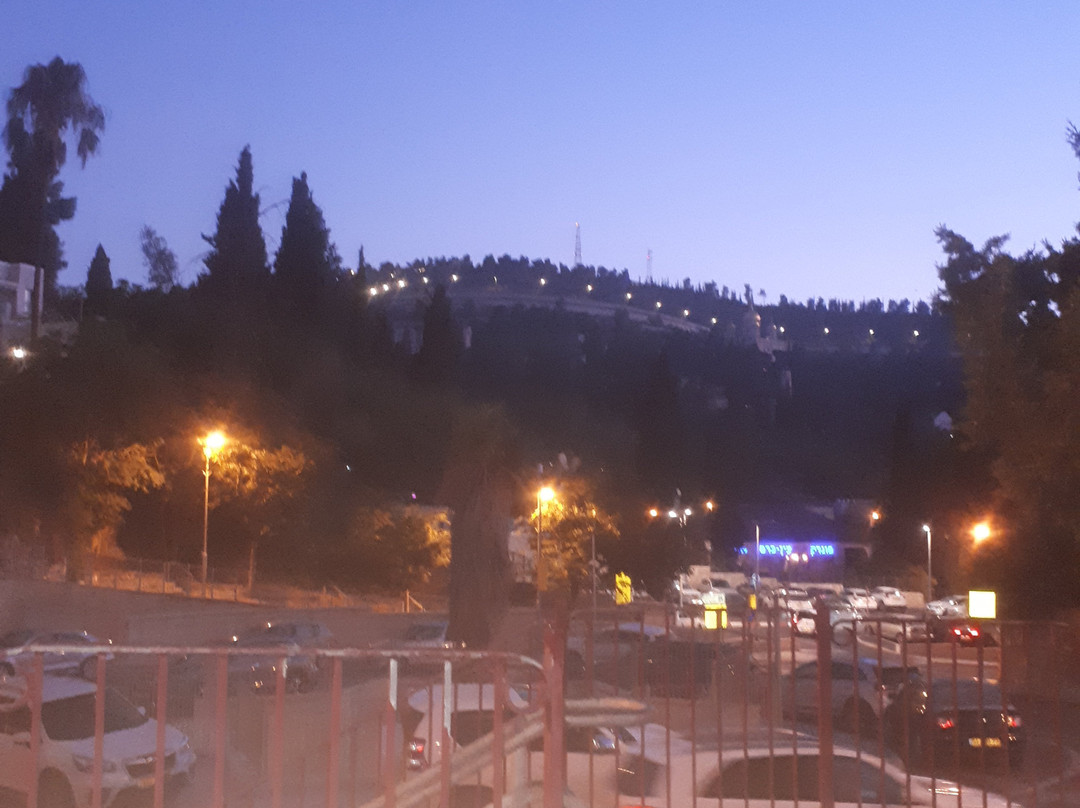 Shalom Hotel Jerusalem主图