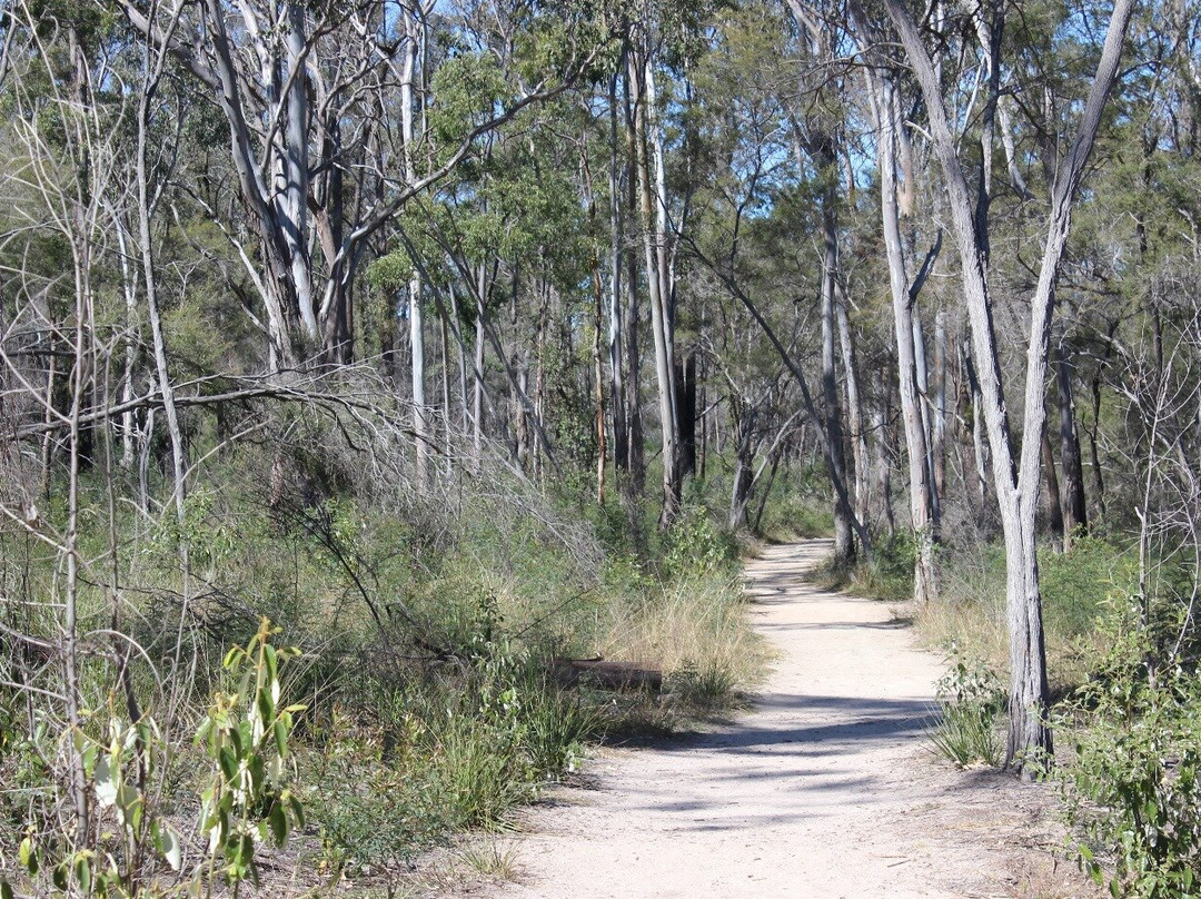 Crows Nest National Park-Crows Nest必去景点