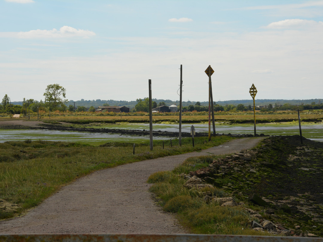 Northey Island景点图片