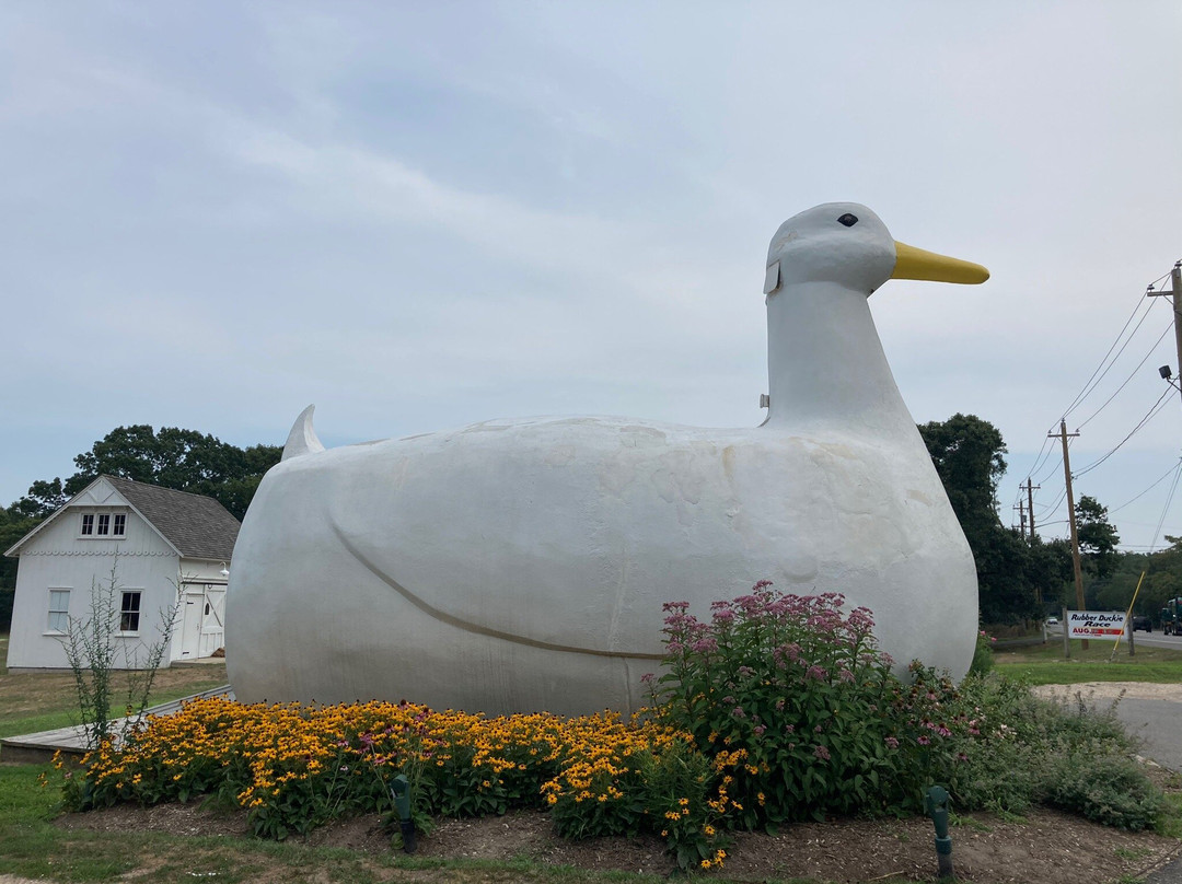 The Big Duck-Flanders必去景点
