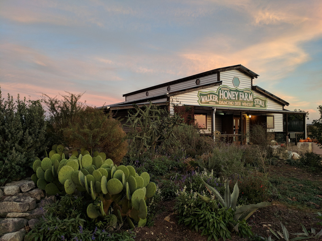 Walker Honey Farm Store & Dancing Bee Winery景点图片