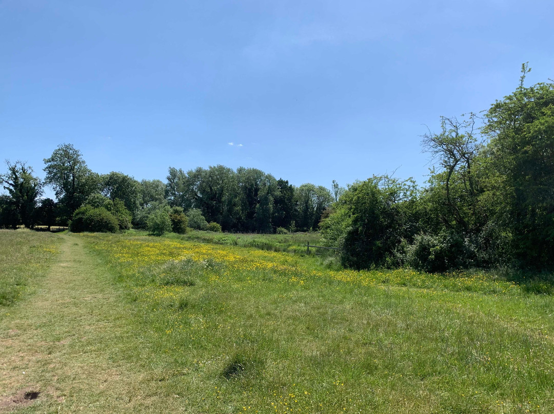 Purwell Meadows Nature Reserve.景点图片