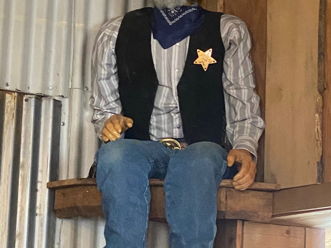 Alpine Slide at Magic Mountain-大熊湖必去景点