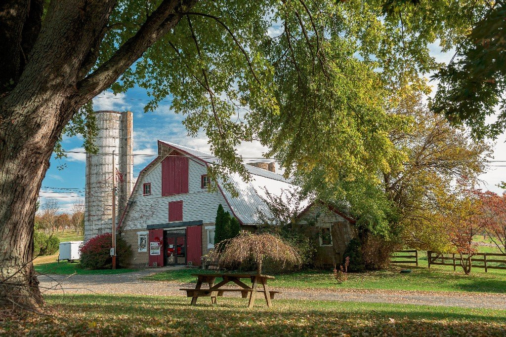 Art of Fire-Laytonsville必去景点