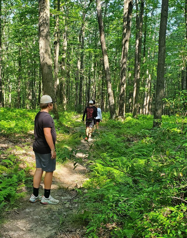 Cook Forest State Park景点图片