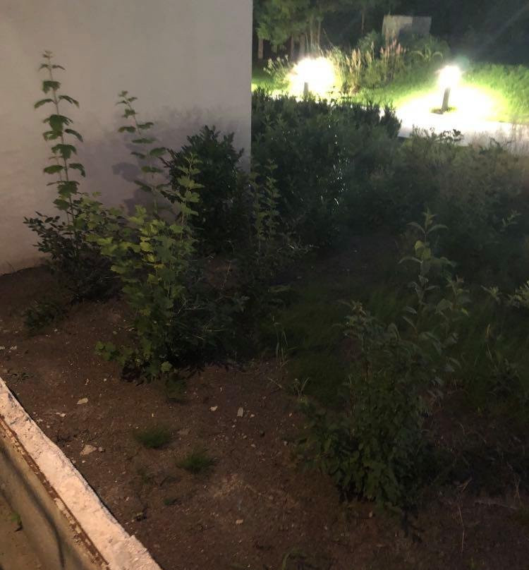 Hotel Magnus Resort主图