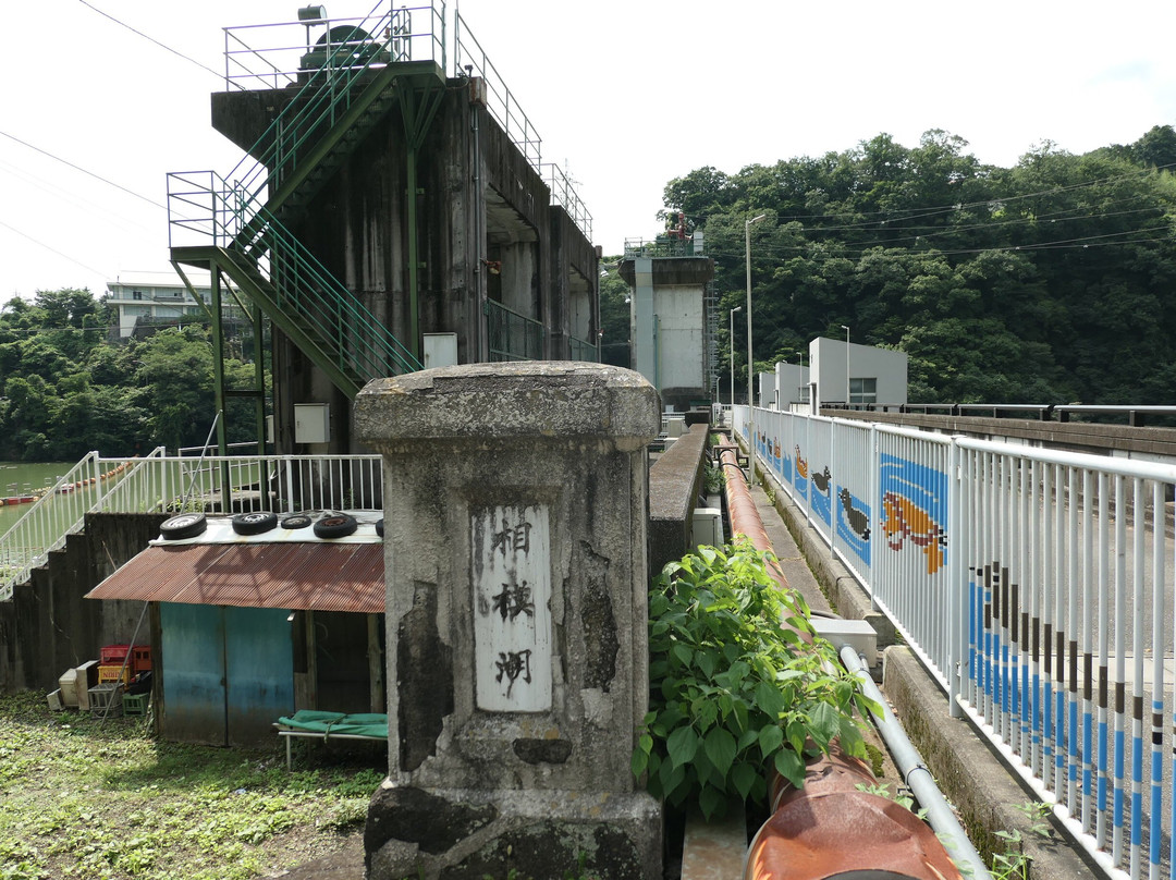 Lake Sagami-相模原市必去景点