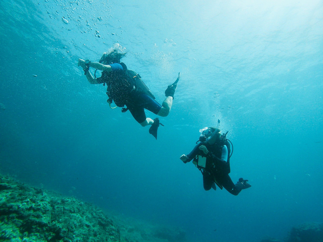 Dive Center Cala Blanca-卡拉布兰卡必去景点