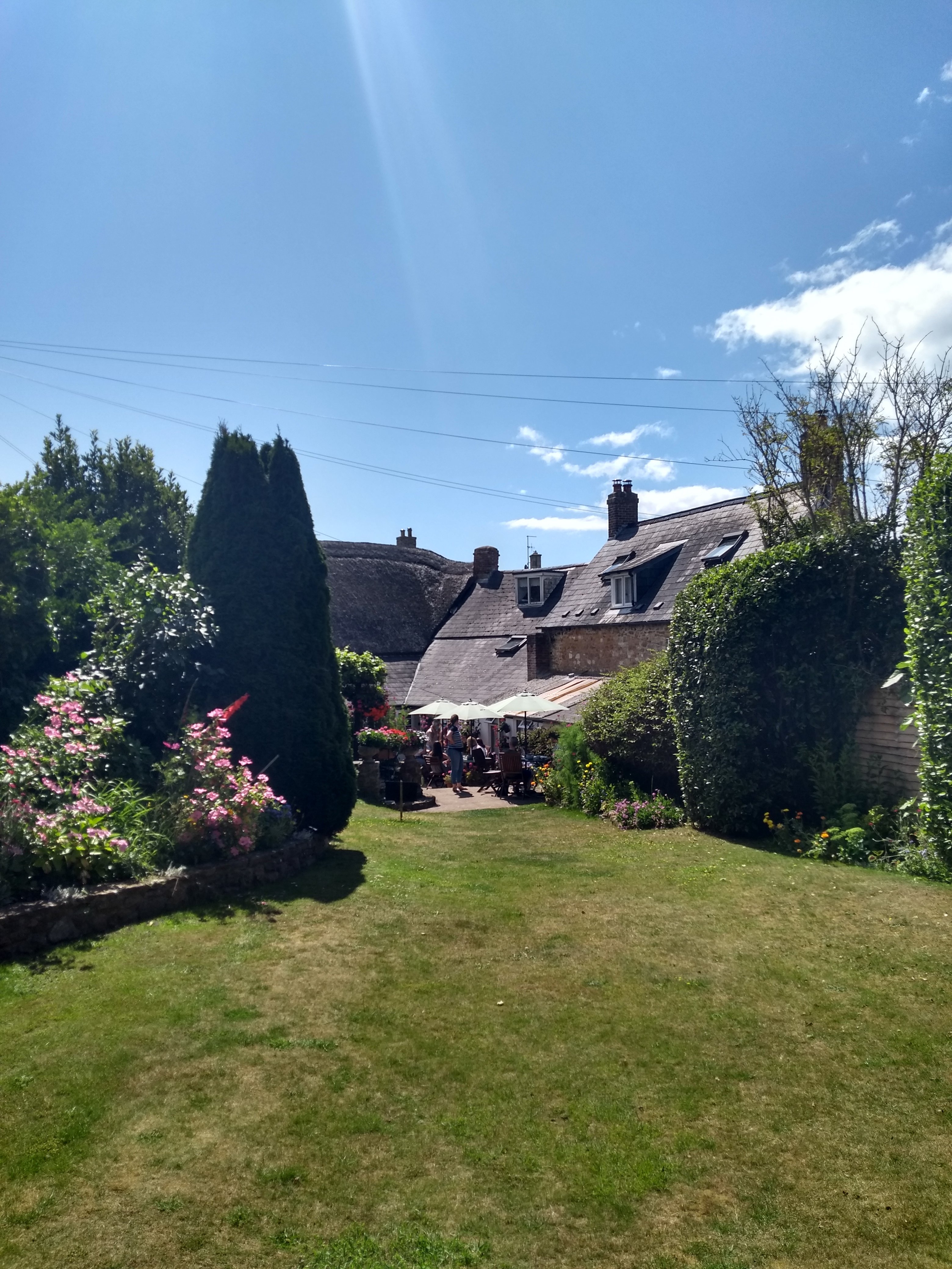 Abbotsbury Tea Rooms-官方