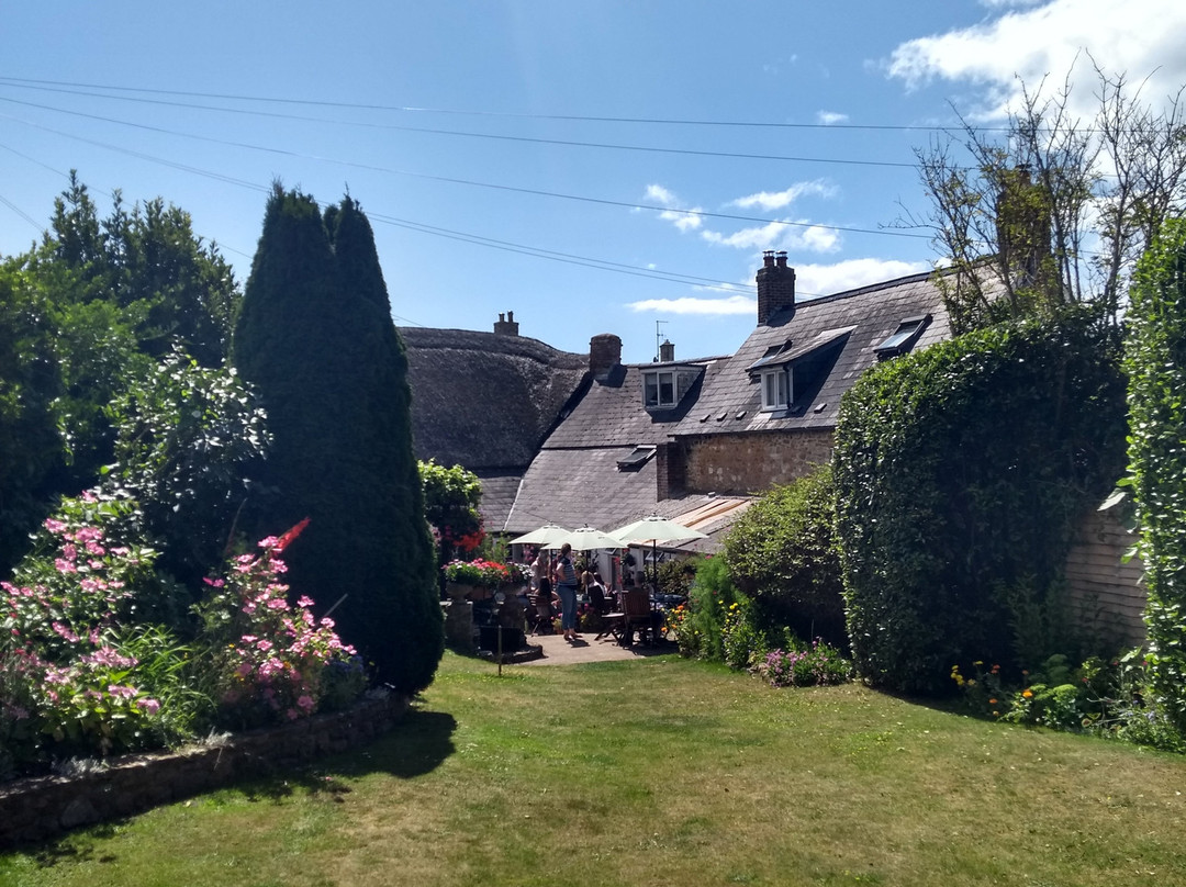 Abbotsbury Tea Rooms主图