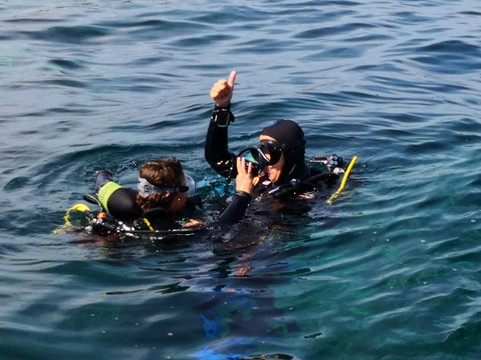 Subtortue Diving-Lecci必去景点