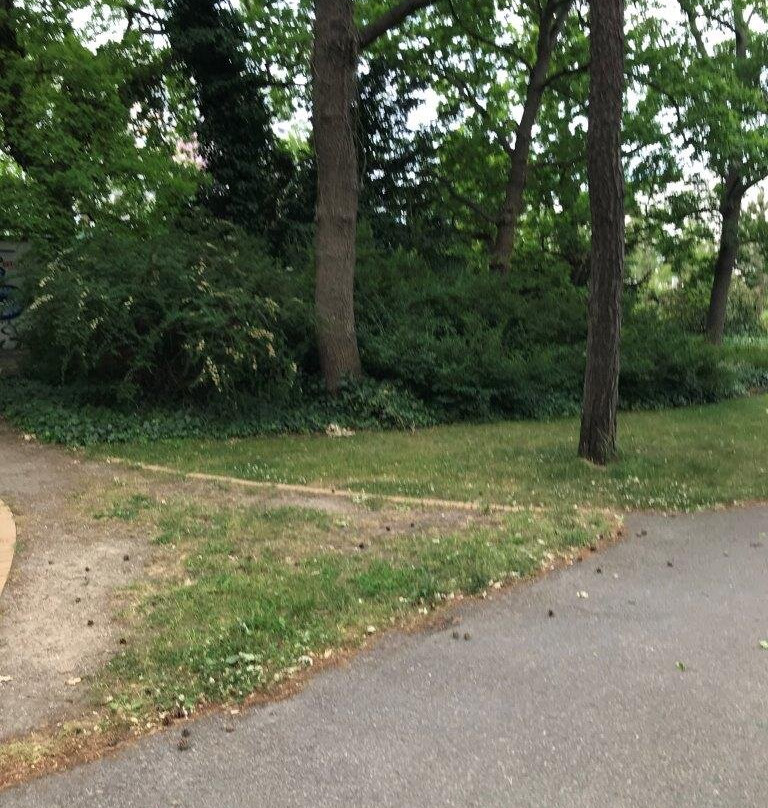 Warnemunde Kur Park-瓦勒慕必去景点