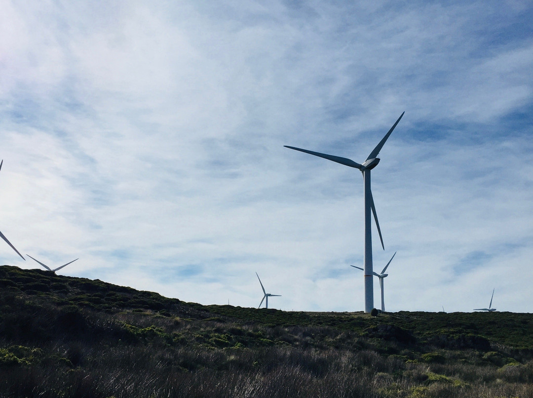 Cape Bridgewater Wind Farm景点图片