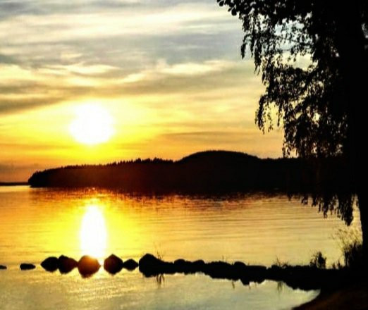Lake Päijänne Cruises-于韦斯屈莱必去景点