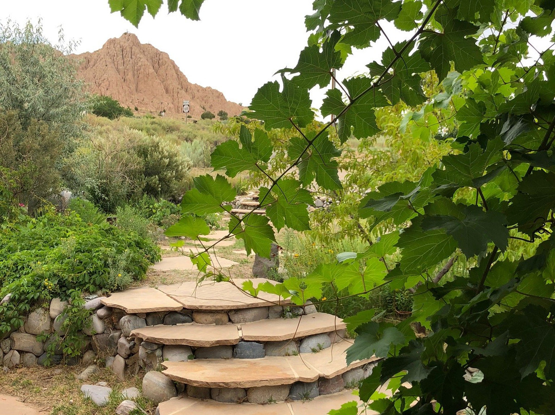 Vivác Winery-Dixon必去景点