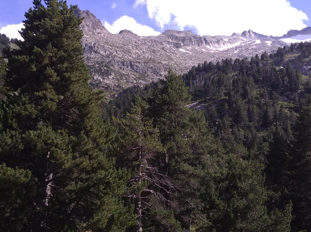 Pico de Cerler景点图片