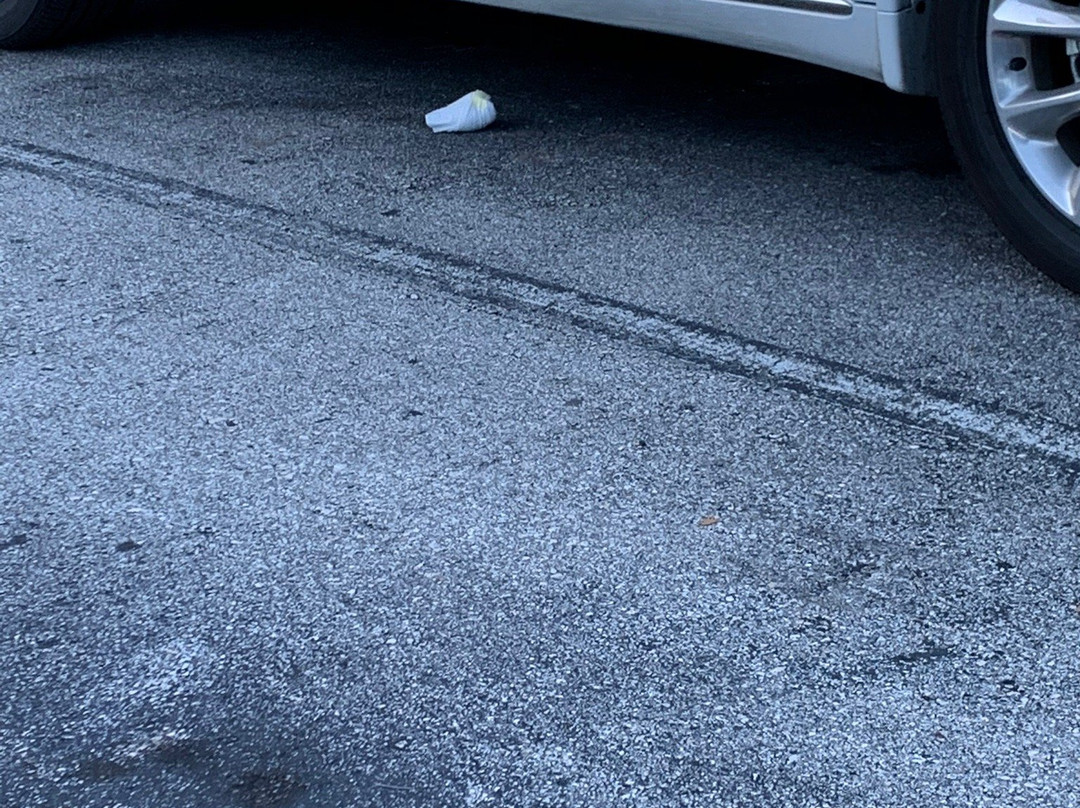 Homewood Suites by Hilton Tampa-Brandon主图