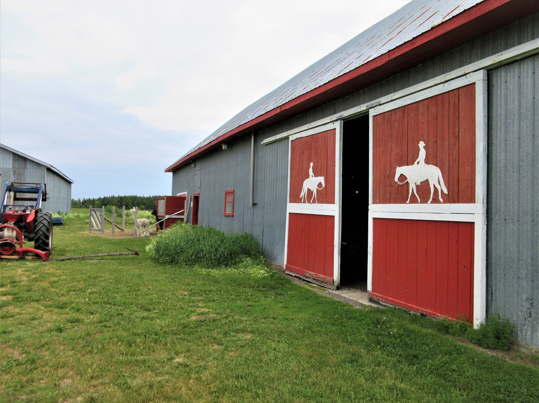 Ferme Fibres et Compagnie-Saint-Alexandre-de-Kamouraska必去景点