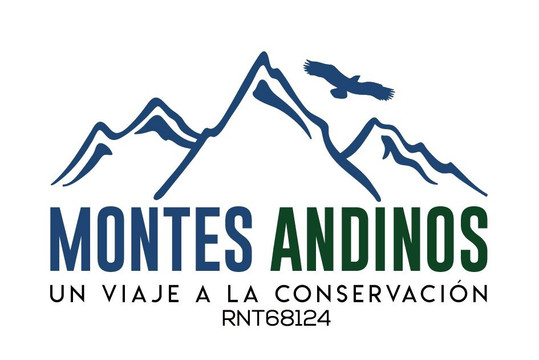 Montes Andinos