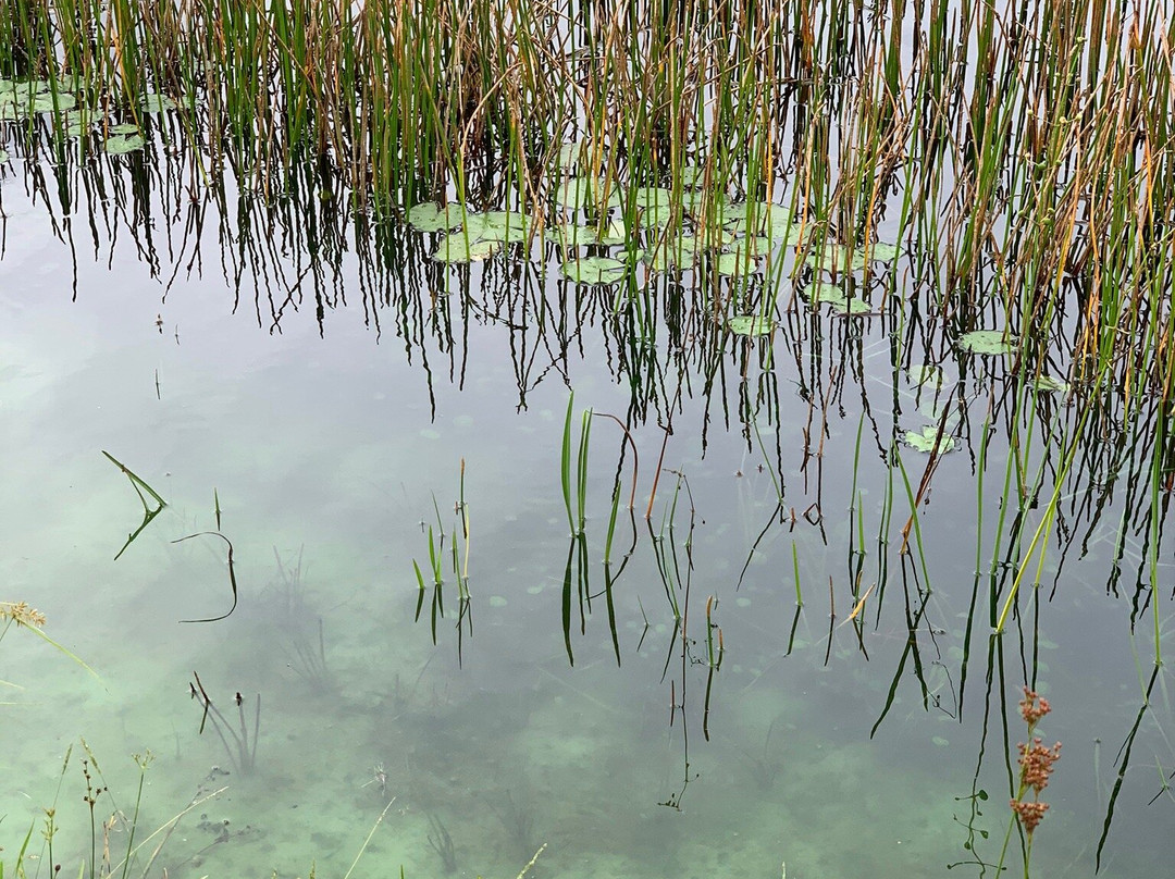 The Groves Golf and Country Club-Land O Lakes必去景点